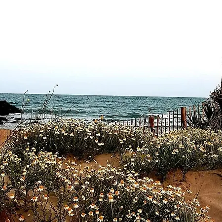 Heure Bleue: Beachfront Oasis With Pool And Panoramic Views Apartment